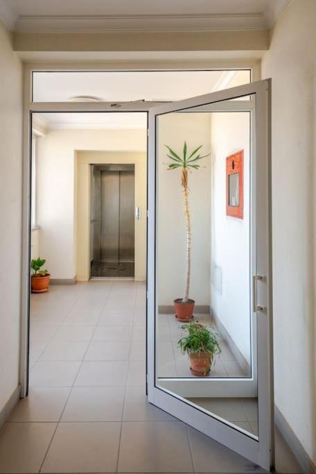 Remedios Apartment Lamego Exterior foto